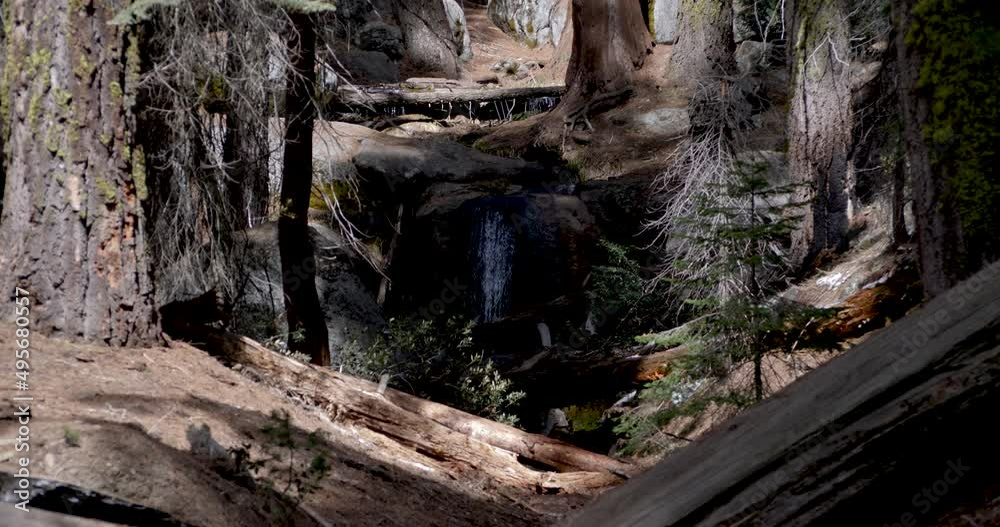 Small Waterfall by Congress Trail in Sequoia National Park Small Waterfall by Congress Trail in Sequoia National Park