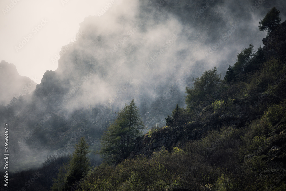 Plakat fog in the mountains