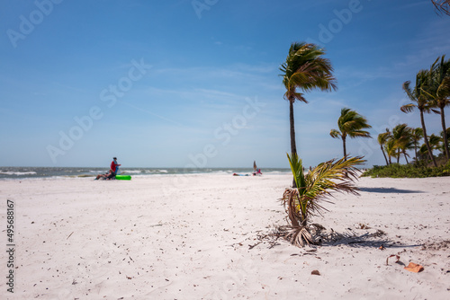 beach with palm trees © Dirk