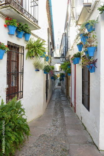 The flower alley of Cordova on Andalusia, Spain © fotoember