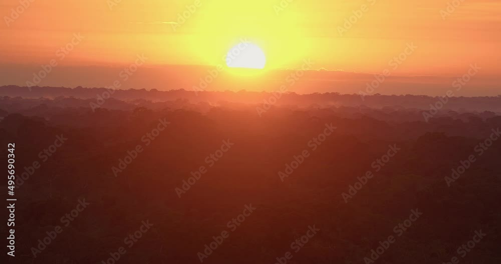 Sunrise over rainforest in Tambopata National Reserve. Bright color. Static shot Sunrise over rainforest in Tambopata National Reserve. Bright color. Static shot