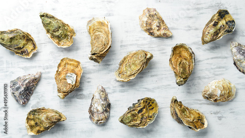 Closed fresh oysters on a white wooden background. Free space for your text. Seafood. Flat lay.