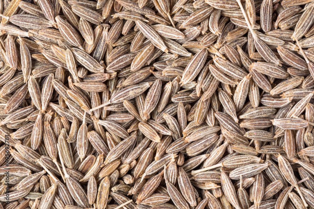 Dried cumin seeds close up, organic food, cumin seeds background, food