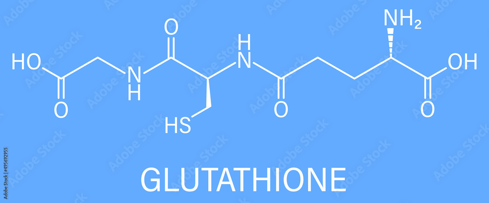 Glutathione (reduced glutathione, GSH) endogenous antioxidant molecule. Skeletal formula. Glutathione (reduced glutathione, GSH) endogenous antioxidant molecule. Skeletal formula.