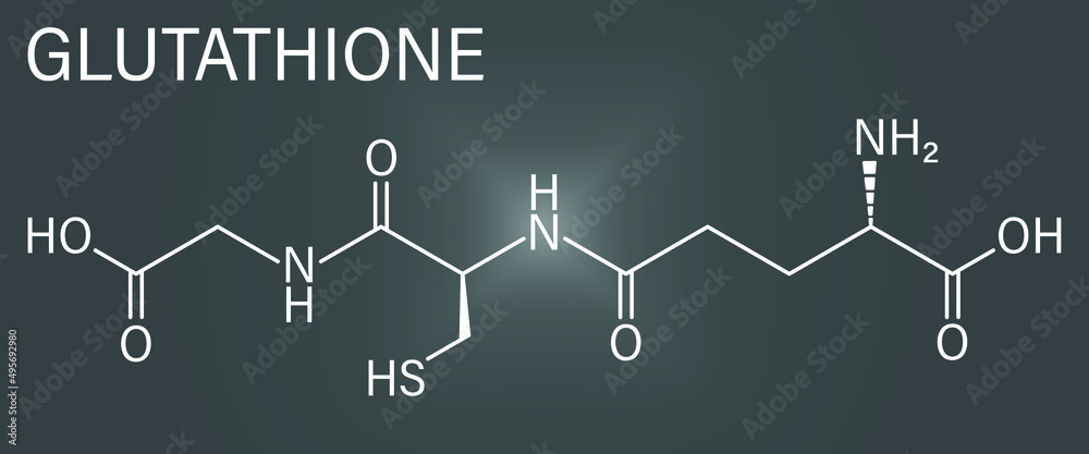 Poster, Print Glutathione (reduced glutathione, GSH) endogenous antioxidant molecule, 50x20.8 cm