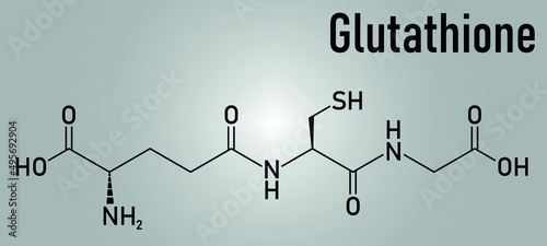 Glutathione (reduced glutathione, GSH) endogenous antioxidant molecule. Skeletal formula.