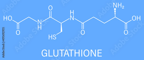 Glutathione (reduced glutathione, GSH) endogenous antioxidant molecule. Skeletal formula.