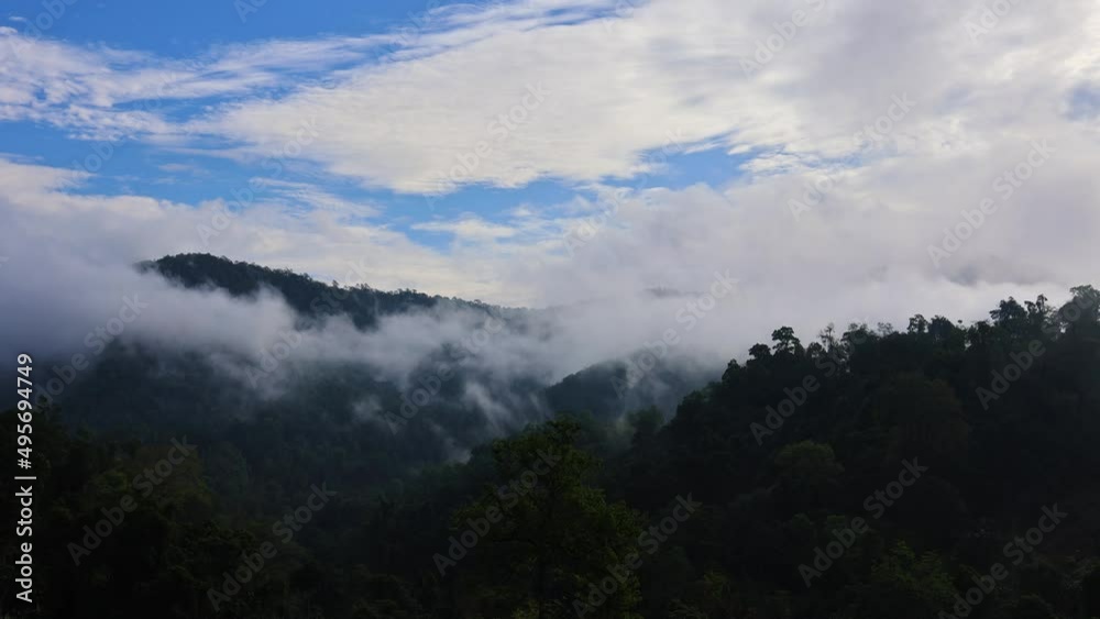 time lapse mist shrouded the mountains and the beautiful morning forest.