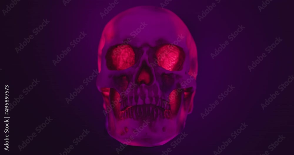 Skull with colored lighting loop closeup Skull with colored lighting loop closeup