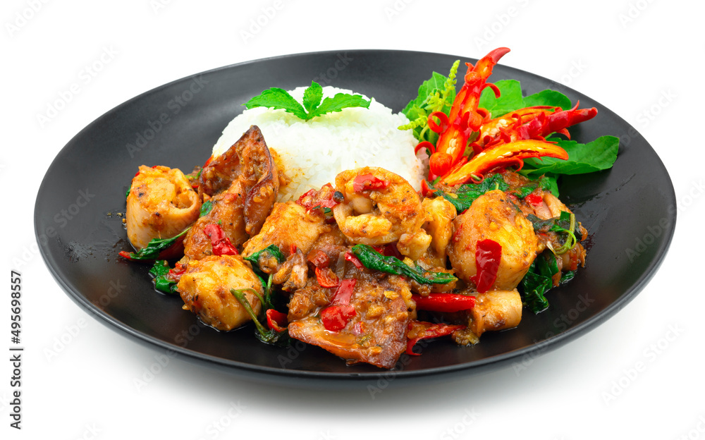 Stir Fried Squids with Basil Spicy Thaifood served Rice