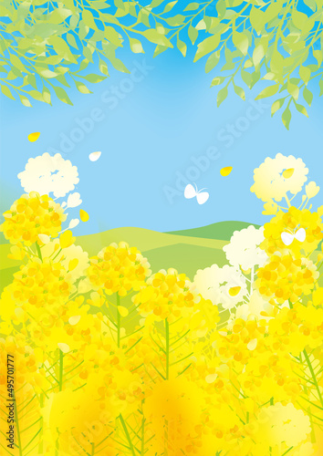 Fototapeta Naklejka Na Ścianę i Meble -  春の葉の花　背景イラスト