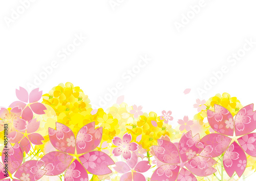 桜と菜の花の美しい背景イラスト