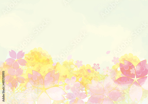 桜と菜の花の美しい背景イラスト