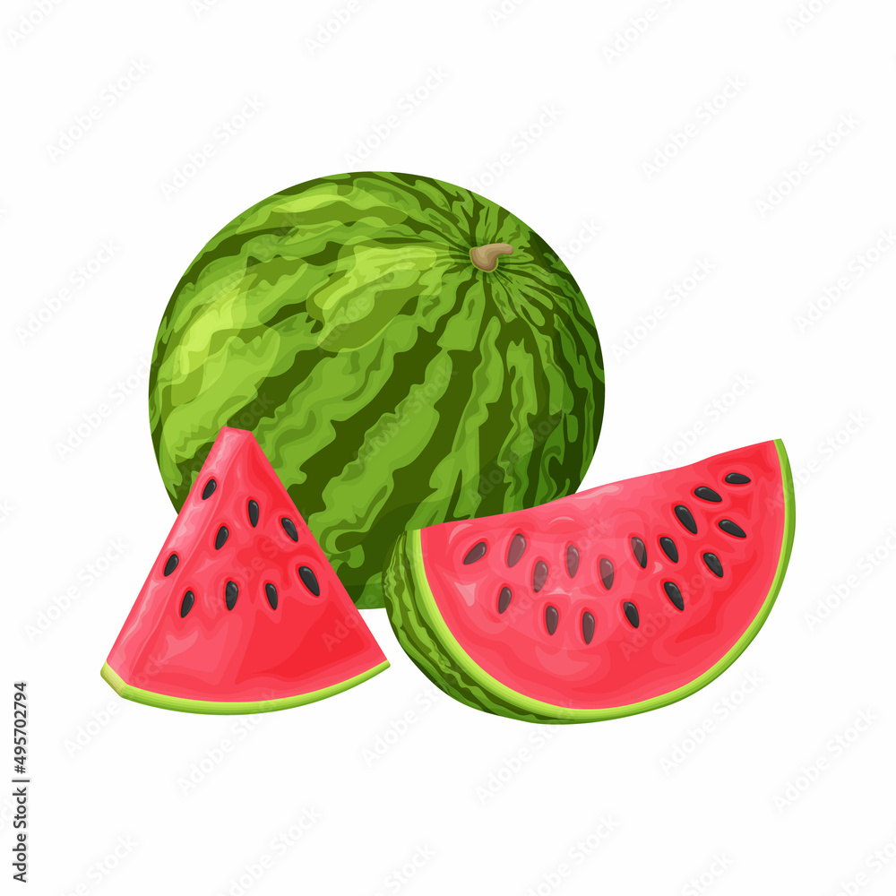 Watermelon. Image of a ripe watermelon. Cut pieces of ripe red watermelon. Vector illustration isolated on a white background Watermelon. Image of a ripe watermelon. Cut pieces of ripe red watermelon. Vector illustration isolated on a white background