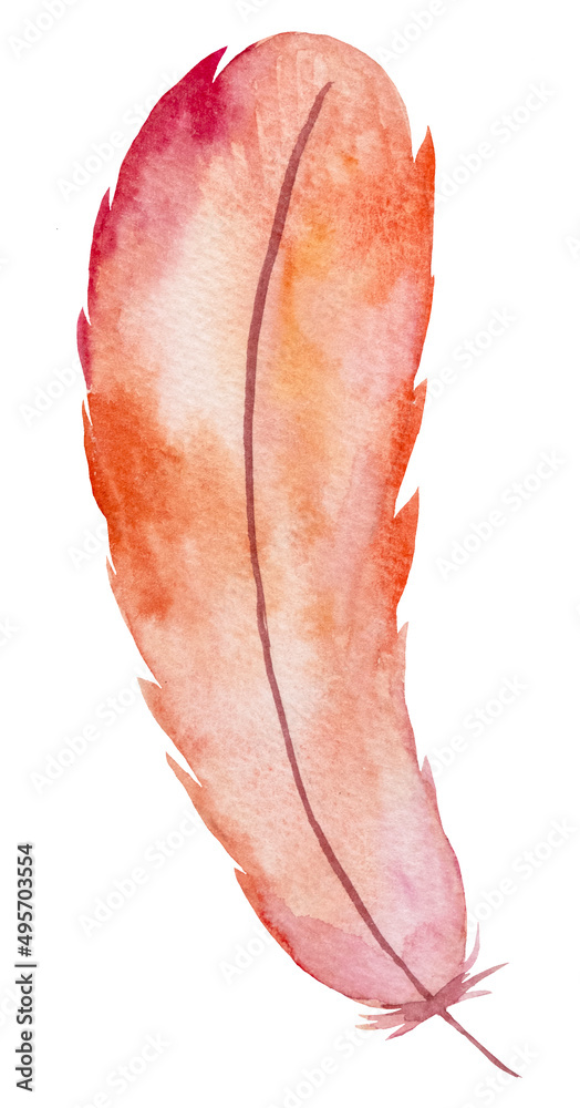 Watercolor pink and red feather, Bohemian element illustration isolated Watercolor pink and red feather, Bohemian element illustration isolated