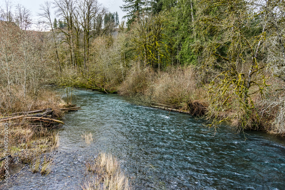 Spring Along The Green River