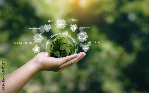 Hand holding a green globe in the concept of nature about management esg, sustainability, ecology and renewable energy for save the world environmental and conservation photo