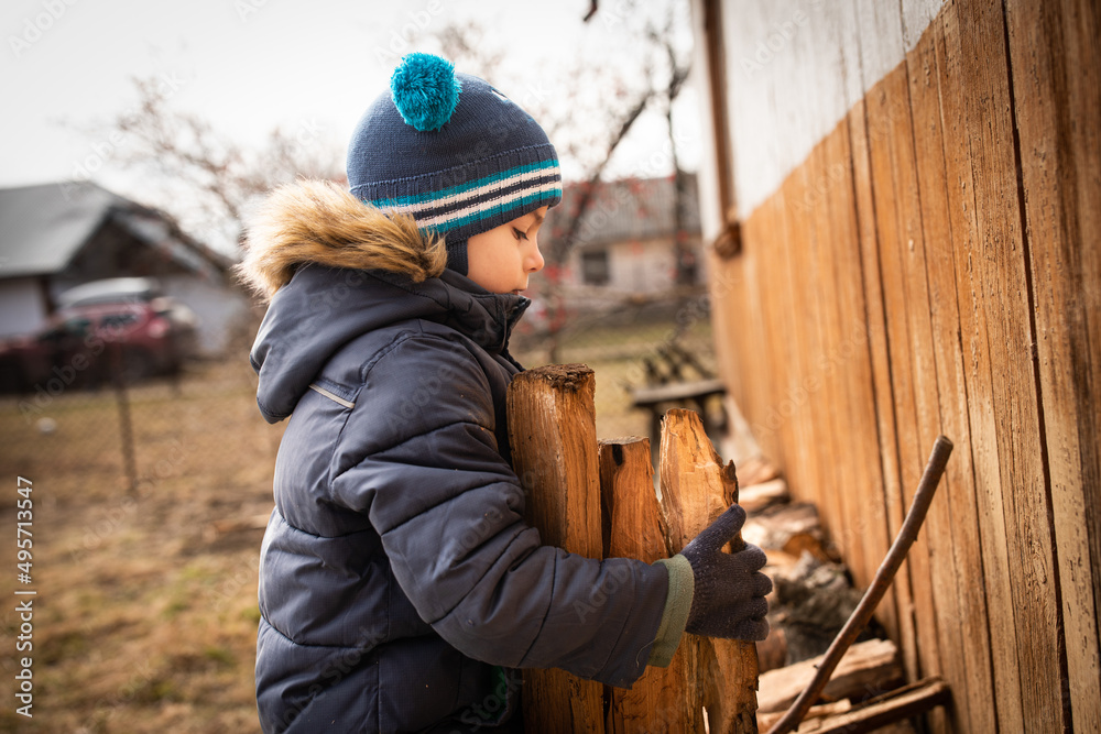 Little boy in warm clothes helping his parents and stacking up firewood in yard of simple wooden house in Ukrainian village Little boy in warm clothes helping his parents and stacking up firewood in yard of simple wooden house in Ukrainian village