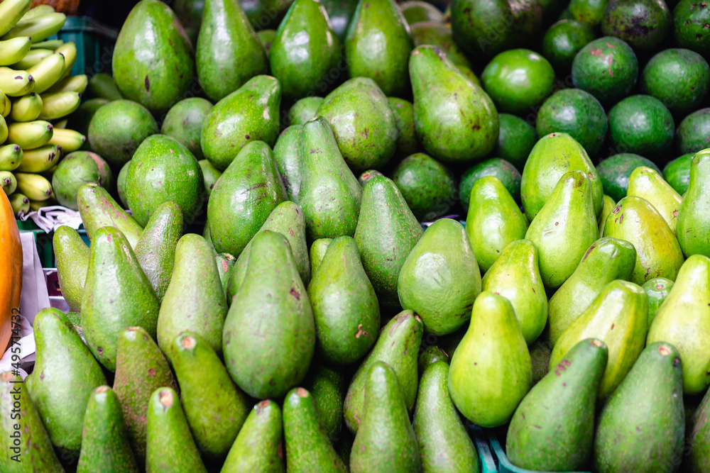 stacked vegetables in paloquemado market square of Bogota_Colombia
stacked vegetables in paloquemado market square of Bogota_Colombia