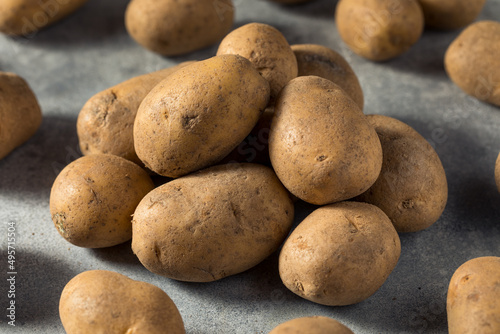 Raw Organic Russet Potatoes