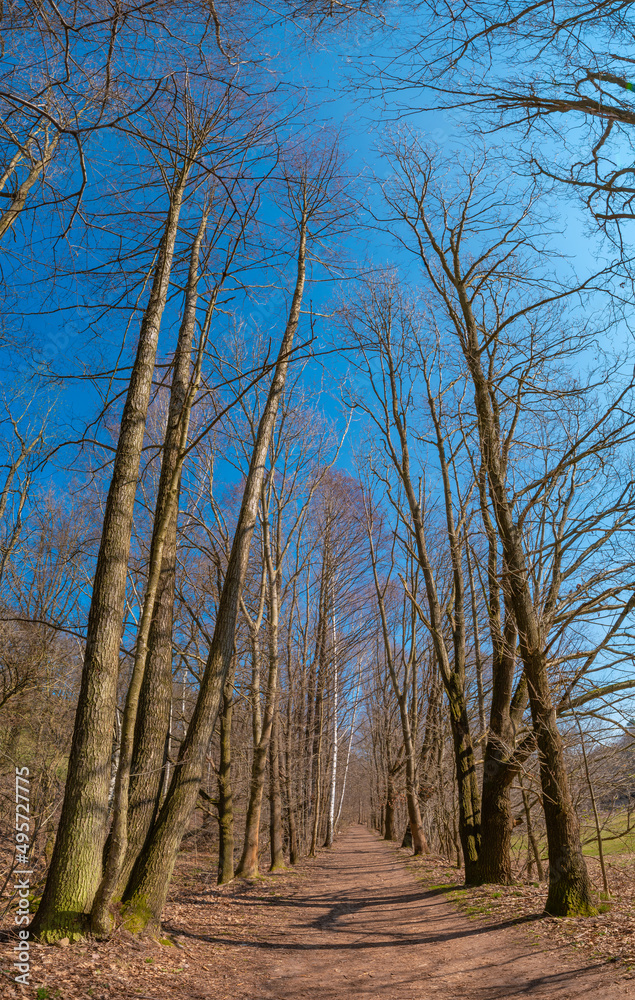 Hiking trail in magical deciduous and pine forest, rocky granite hills landscape at riverside of Zschopau river near Mittweida town, Saxony, Germany, at warm sunset and blue Spring sky. Hiking trail in magical deciduous and pine forest, rocky granite hills landscape at riverside of Zschopau river near Mittweida town, Saxony, Germany, at warm sunset and blue Spring sky.