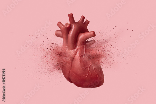 The concept of heart attack, an exploding human heart isolated on pink background. Cardiology and medical care for infarct photo