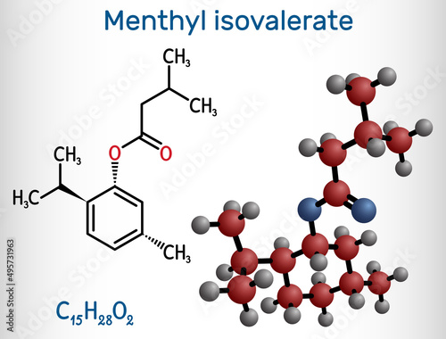Menthyl isovalerate, validolum, validol molecule. It is drug, menthyl ester of isovaleric acid. Structural chemical formula and molecule model.