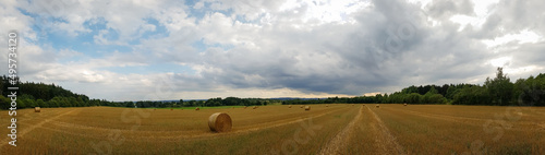 Panoramic view of rural field