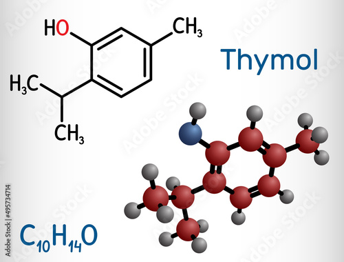 Thymol, IPMP molecule. It is phenol, natural monoterpene derivative of cymene. Obtained from thyme oil or other volatile oils. Structural chemical formula, molecule model.