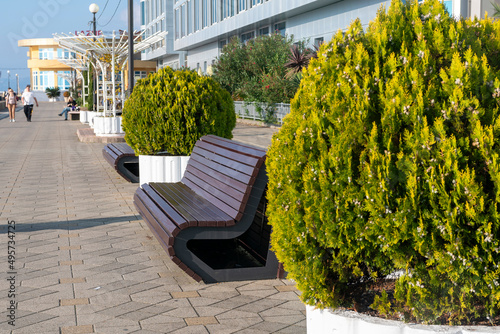Brown wooden benches with flowerbeds of green plants in the alley. photo