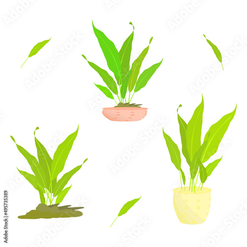 Leaf pot ornamental element cut out for decorative vector illustration