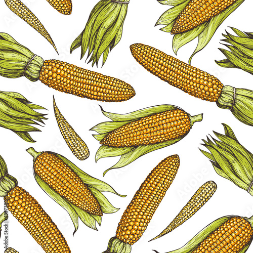 Fotografia Corn, maize seamless pattern