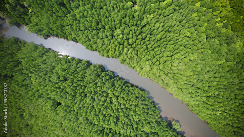 Aerial view or top view of Mangrove forest , Tung Prong Thong or Golden Mangrove Field at Rayong of Thailand