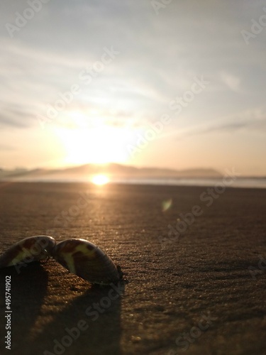 Praia, Por do Sol, Conchas, Mar