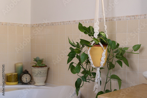 white homemade macrame plant hanger in bathroom