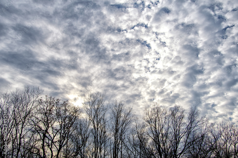 beautiful clouds against the blue sky, an autumn view in a bavarian park , High white cirrus clouds with cirro-stratus in a light blue sky, sometimes called stool tails, indicate fine weather, beautiful clouds against the blue sky, an autumn view in a bavarian park , High white cirrus clouds with cirro-stratus in a light blue sky, sometimes called stool tails, indicate fine weather,