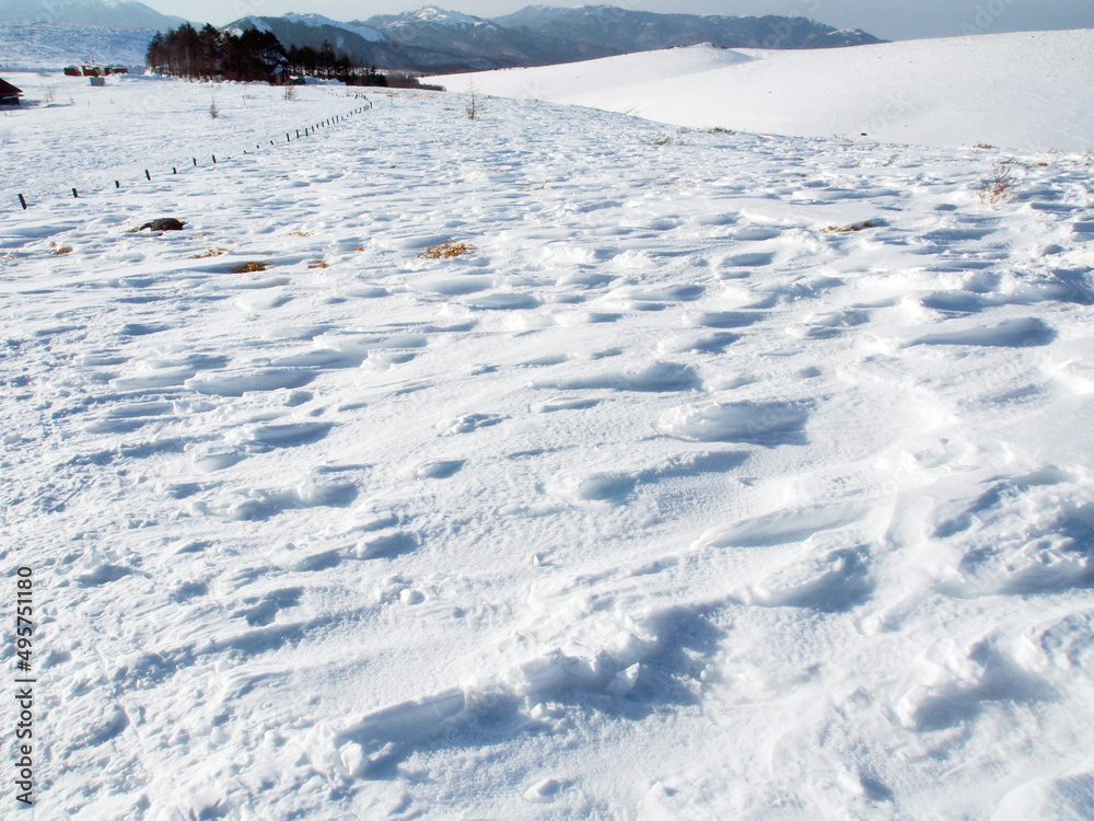 シュカブラ 波のような風雪紋