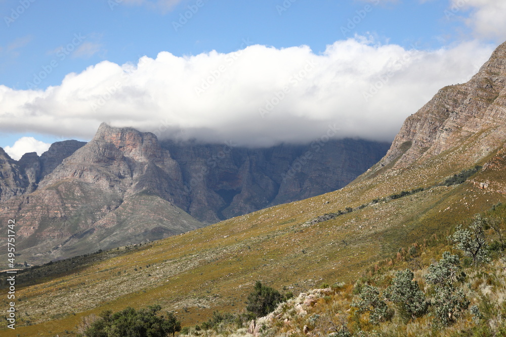 A view of mountains with fynbos in the foreground in the Breede River Valley, South Africa.