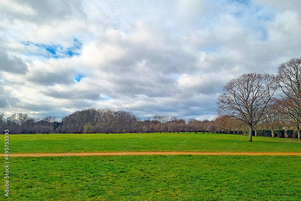 Fototapeta premium Beautiful green park on a winter cloudy day.