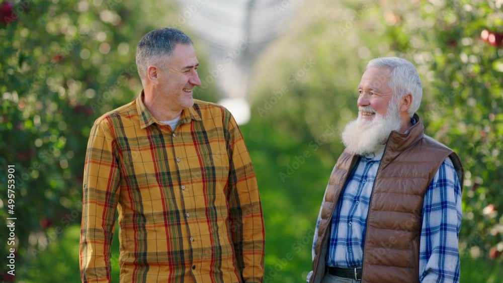 Charismatic old man farmer and his son in the middle of apple orchard posing in front of the camera smiling large after they pickup all the harvest. 4k Charismatic old man farmer and his son in the middle of apple orchard posing in front of the camera smiling large after they pickup all the harvest. 4k