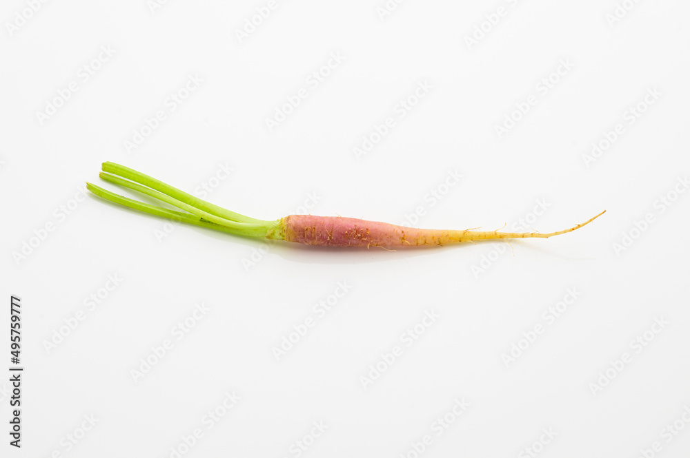 tiny pink carrot isolated on white background. tiny size. heathy and nutrition concepts. vitamin. tiny pink carrot isolated on white background. tiny size. heathy and nutrition concepts. vitamin.