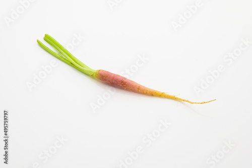 tiny pink carrot isolated on white background. tiny size. heathy and nutrition concepts. vitamin.