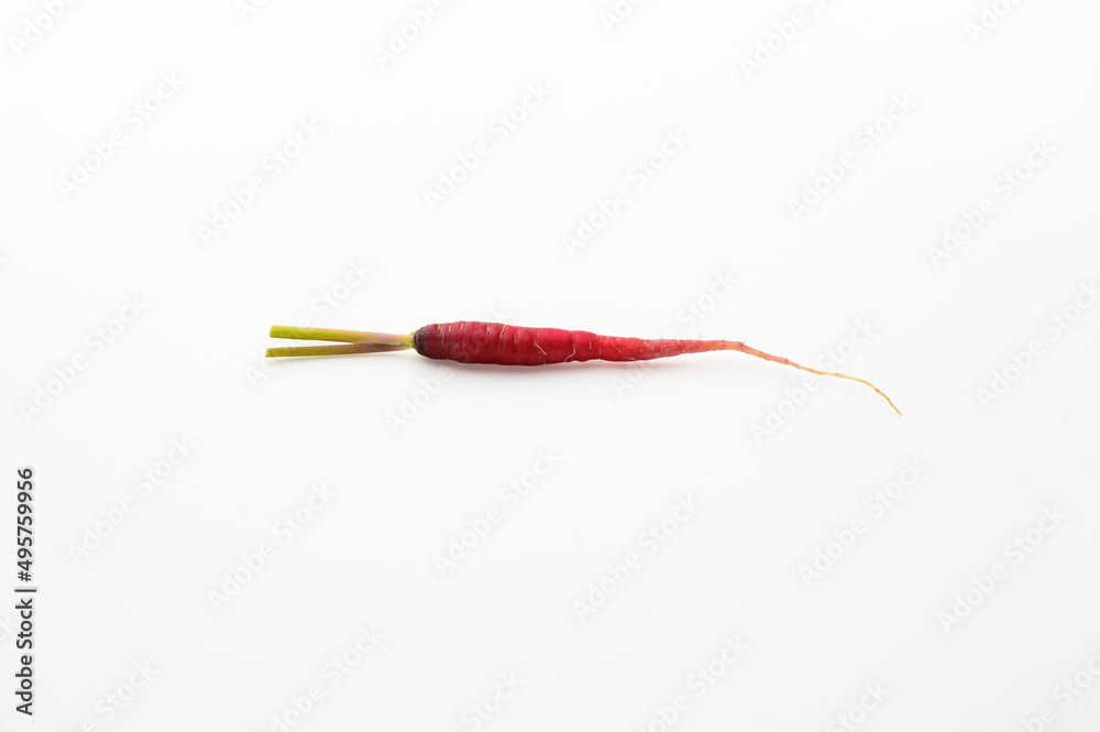 tiny red carrot isolated on white background. tiny size. heathy and nutrition concepts. vitamin. tiny red carrot isolated on white background. tiny size. heathy and nutrition concepts. vitamin.