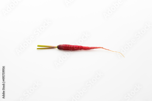 tiny red carrot isolated on white background. tiny size. heathy and nutrition concepts. vitamin.