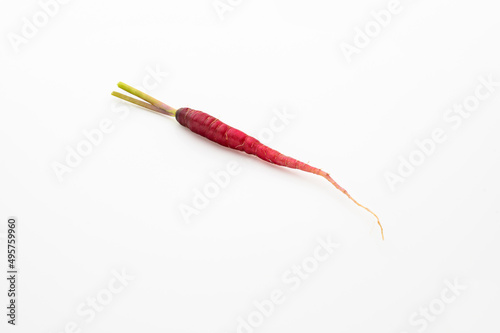 tiny red carrot isolated on white background. tiny size. heathy and nutrition concepts. vitamin.
