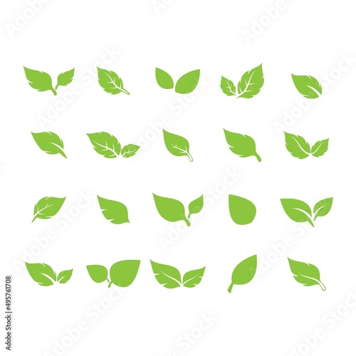 unique green leaf symbol logo vector complete collection bundle