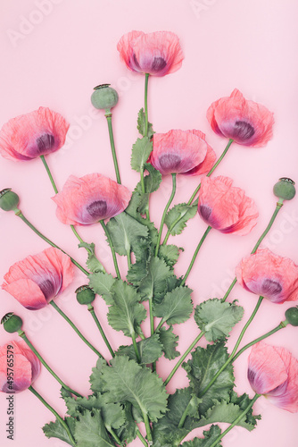 Creative summer composition made of poppies flowers on pastel pink background. Beautiful floral layout. Nature concept. Top view. Flat lay.