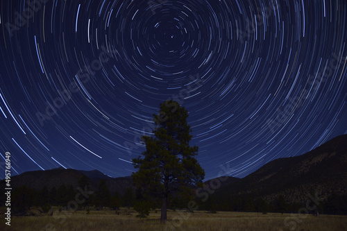 Beautiful view of ponderosa pine trees surrounded by star trails, Arizona photo