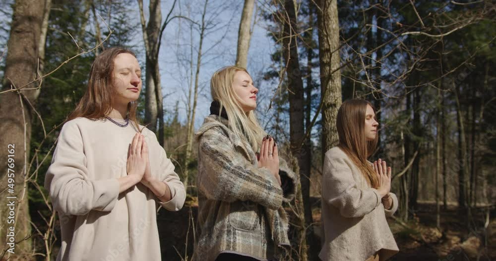 three beautiful girls meditate standing in nature hold hands together with closed eyes and loose hair in the forest among the trees in spring. earth energy meditation. sunny day. medium shot three beautiful girls meditate standing in nature hold hands together with closed eyes and loose hair in the forest among the trees in spring. earth energy meditation. sunny day. medium shot