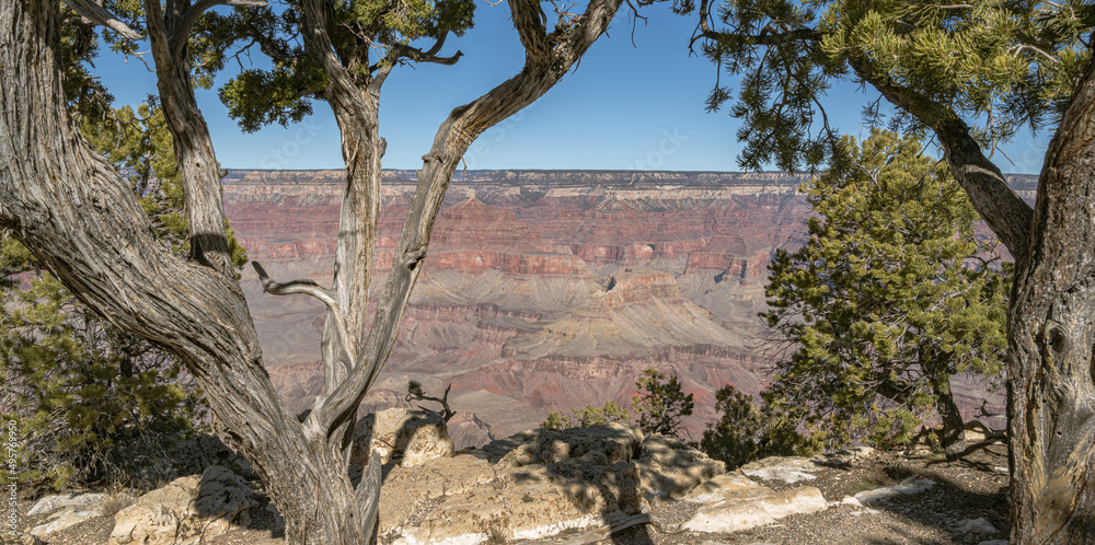 Fototapeta premium Grand Canyon